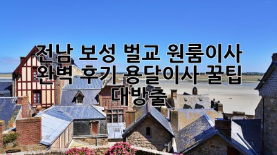 📦 전남 보성 벌교 원룸이사 완벽 후기! 용달이사 꿀팁 대방출 🚚