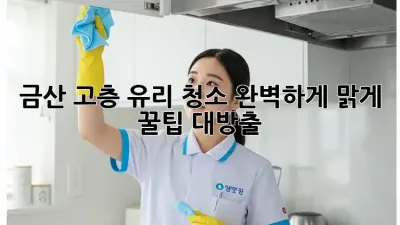 금산 고층 유리 청소✨ 완벽하게 맑게! 꿀팁 대방출🍯