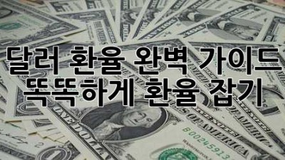 달러 환율 완벽 가이드: 똑똑하게 환율 잡기!